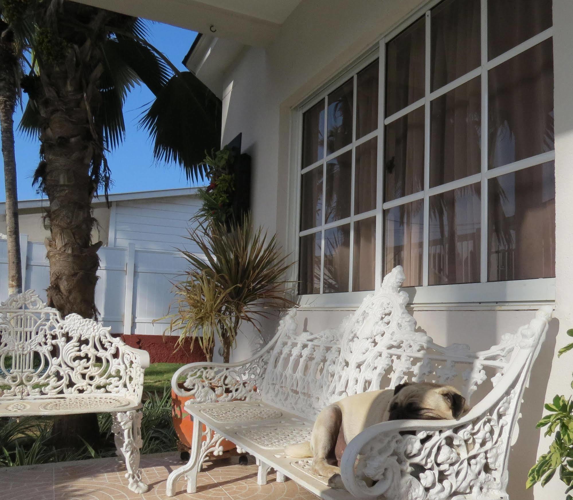 Hostal Mar Y Mar San Andres  Ngoại thất bức ảnh